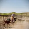 Tate West720 - @tatewest3 - TikTok