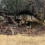 Tate west - @tate_west_outdoors_ - Instagram