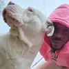 Tate Williams - @tatewilliams79 - TikTok