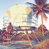 tatewilliams - @tatewilliams - TikTok