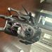 Tate Wright - Facebook