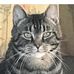 Tate Wright - Facebook