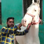 Tatheer Raza - Facebook