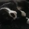 Tatjana Schellekens - @tatjana.schelleke - TikTok