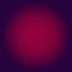 Tauheed Hasan - @tauheedhasan555 - Instagram