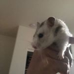 Taurean Wright - @ilovejesus2011 - Instagram
