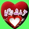 Tauseef khan Farooqi - @tauseefkhanstoman142 - TikTok