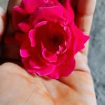tausif Patel - @tausifpatel368 - Instagram