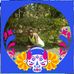 Dove Collo - Facebook