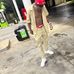 Tavon Lytle - Facebook