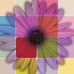 Tawanda Clay - Facebook