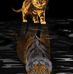Randell Tawanna - Facebook