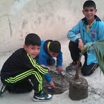 Tawfik Ali Bouka - @krimo9751 - Instagram