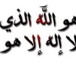 Tawfik Mohamed - @tawfik.barakat - Instagram