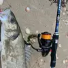 TAWFIK KAMAL - @tawfikkamalfishing - TikTok
