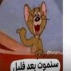 khalili - @tawfikkhalil09 - TikTok