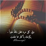 Tawfik Magdy - @tawfik.magdy.39 - Instagram