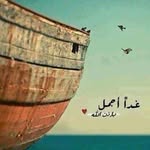 Tawfik Magdy - @tawfik.2 - Instagram