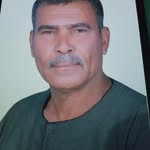 Tawfik Mohamed - @tawfik.mohamed77 - Instagram