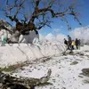 Tawfik Mohamed - @tawfik.mohamed74 - TikTok