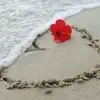 solimantawfik628 - @solimantawfik628 - TikTok