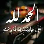 Tawfiq Saleh - @tawfiqprins - Instagram