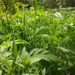 tawfiq saleh - @tawfiq1584 - Instagram