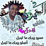 Tawheed Haroon - @tawheedharoon - Instagram
