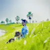 Tawhid Gazi - @tawhid.gazi4 - TikTok