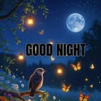 Dean Haupt - Facebook