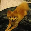 tawnadavis - @tawnadavis - TikTok