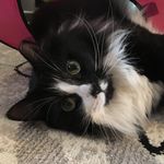 Tawny Smith Updegraff - @tlu26 - Instagram