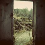 Илья - @green_tawny - Instagram