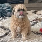 Taylor Bailey - Facebook