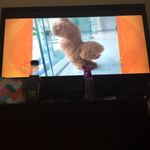 Tayler Jackson - @12345_dog - Instagram