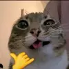 taylor jackson - @jacksontaylort - TikTok