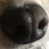 Tayler Smith - @tayler_smith_ - TikTok