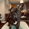 taylorashman69 - @boss.thebeast - TikTok