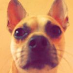 taylorashman - @t4y1or_4shm4n - Instagram