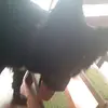 taylorsauer171209 - @taylor_sauer - TikTok
