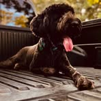 Tyler Baize - Facebook