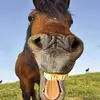 Taylor_Bangzz - @taylor_bangzz - TikTok