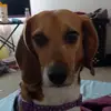 Taylor Barnhill - @taylor.barnhill0 - TikTok