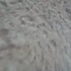 tiktok92838eh - @taylorbarone77 - TikTok