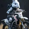 taylorbarrera - @barrera2340120022 - TikTok
