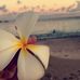 Taylor Batten - Facebook