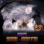 Taylor Beagle - @canchaser13 - Instagram