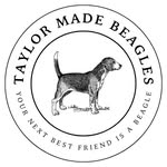Taylor Made Beagles - @taylormadebeagles - Instagram