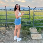 taylor - @taylor_beagle - Instagram