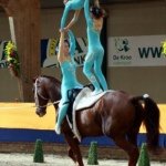 Taylor Beers - @horse_planet_ - Instagram